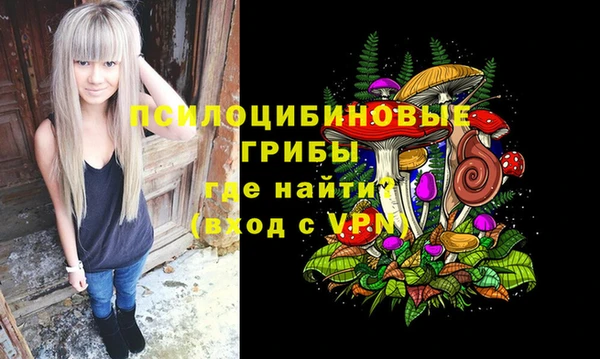 прущие грибы Гатчина