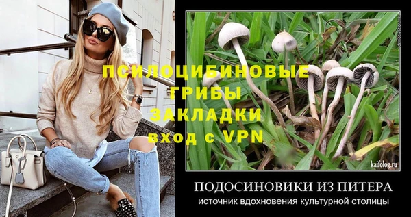 гидропоника Абдулино