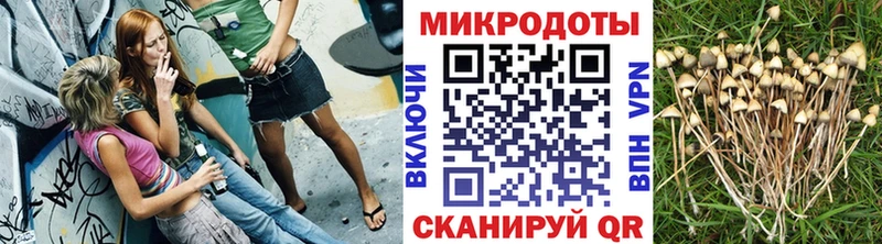 Псилоцибиновые грибы Psilocybe наркотики Новосибирск