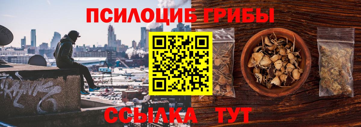 Псилоцибиновые грибы Magic Shrooms  Галлюциногенные грибы ЛСД  Новосибирск  Вход с VPN 