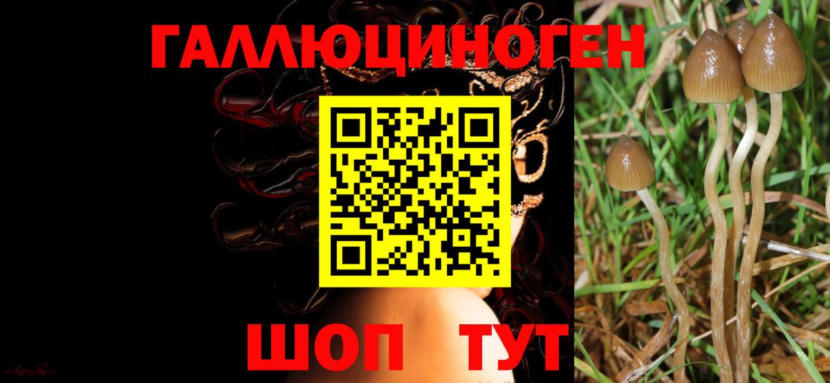 Галлюциногенные грибы Magic Shrooms Новосибирск